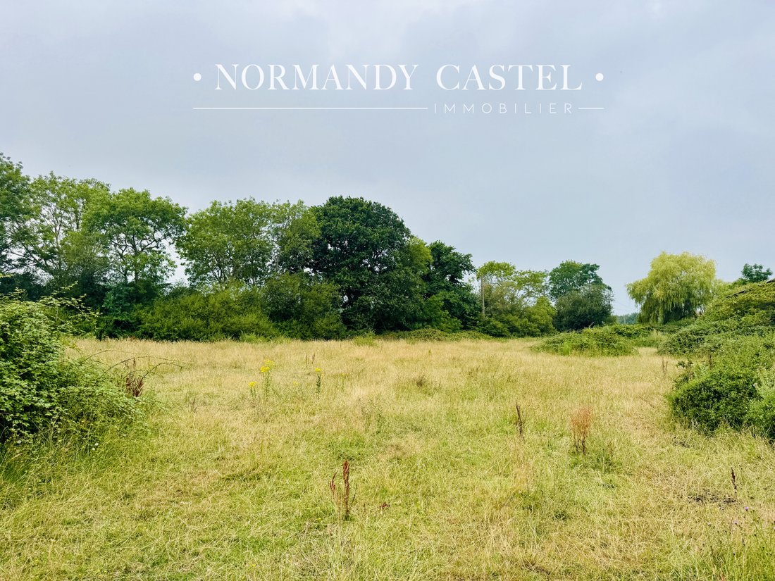 Land in Trouville-sur-Mer, Normandy, France 4 - 18468112