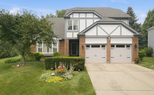 House in Buffalo Grove, Illinois, United States 1