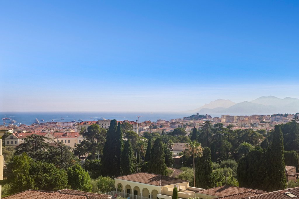 Apartment in Camp Long, Cannes, France 4 - 18457562