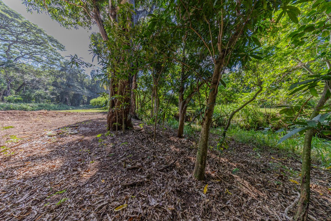 Land in Kilauea, Hawaii, United States 4 - 18458111