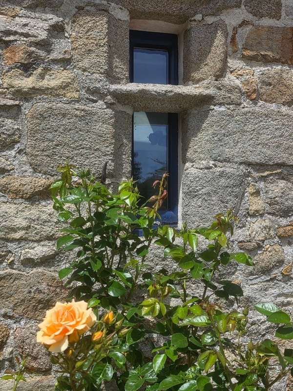 Farm Ranch in Esquibien, Audierne, France 5 - 18457141
