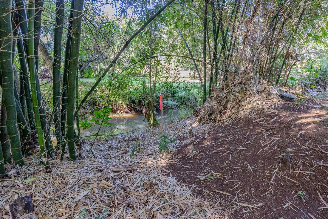 Land in Kilauea, Hawaii, United States 3 - 18458111
