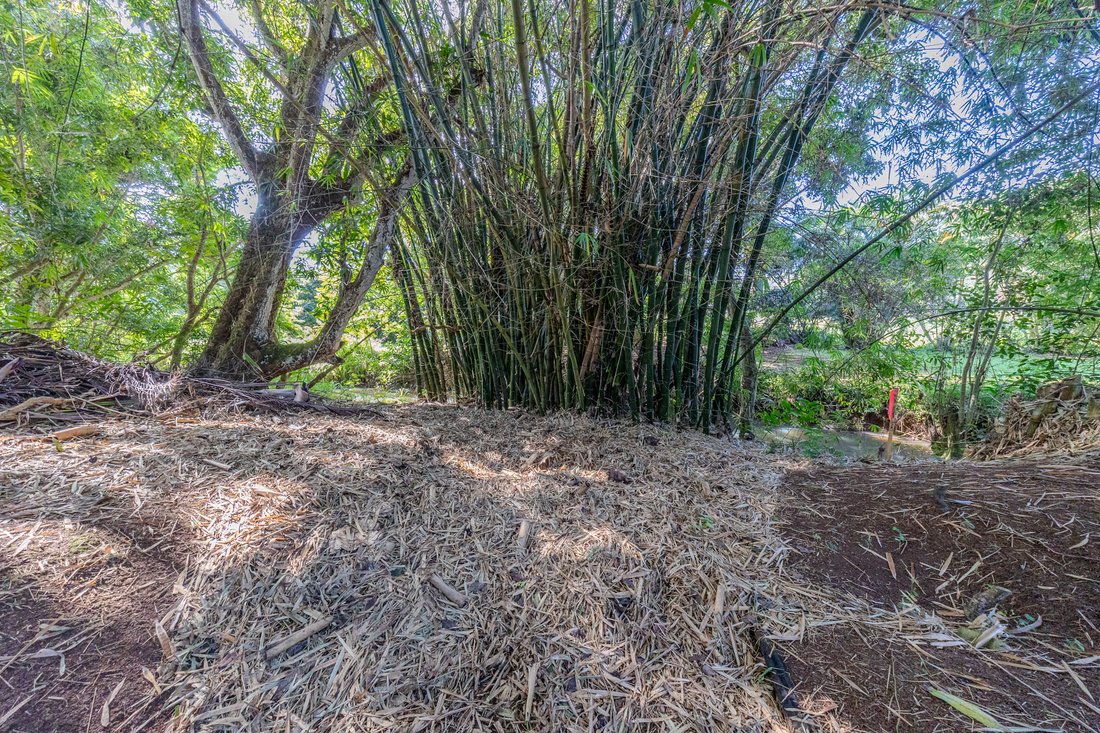 Land in Kilauea, Hawaii, United States 2 - 18458111