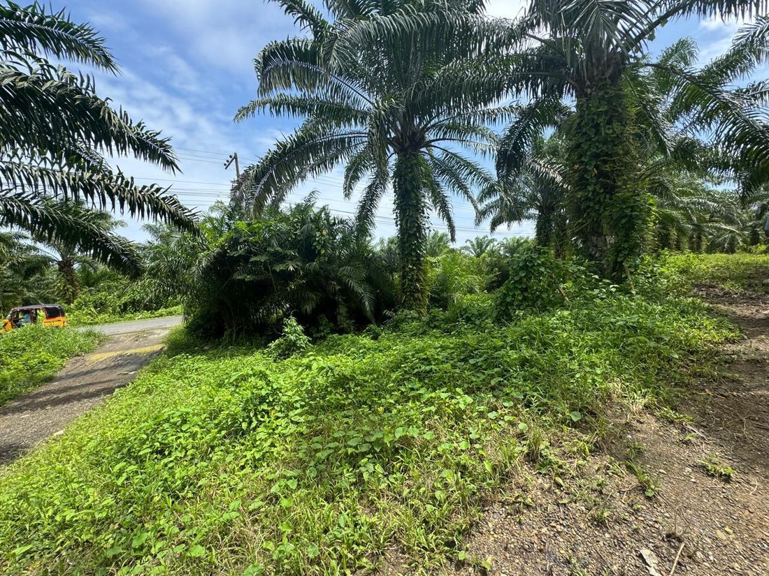 Farm Ranch in Quininde, Esmeraldas, Ecuador 4 - 18457817