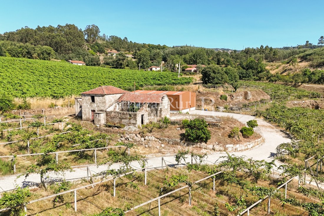 Finca in Tabuado, Porto District, Portugal 4 - 18456821