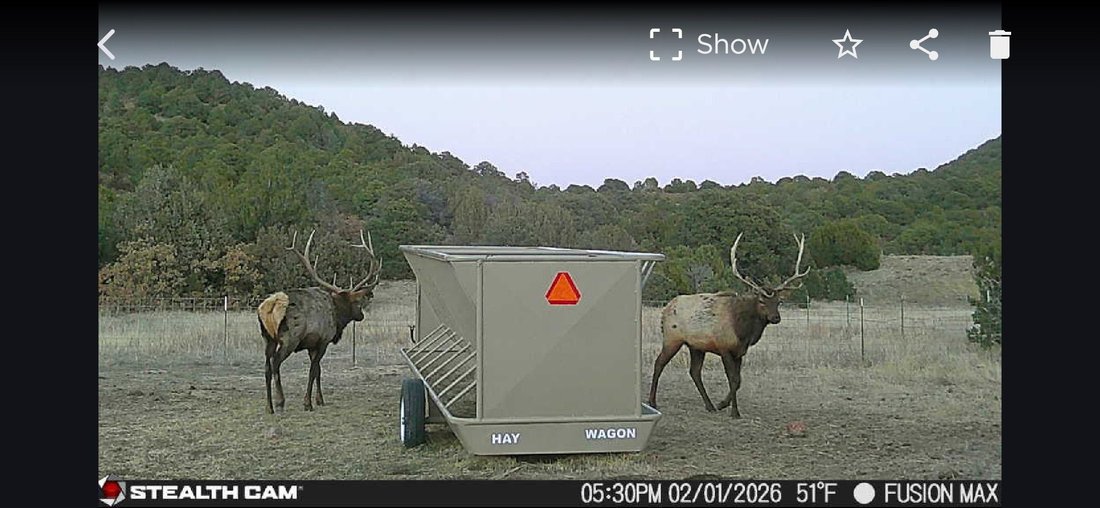 Farm Ranch in Winters, Texas, United States 3 - 18465494
