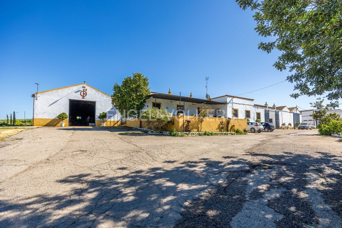 House in Alcala de Guadaira, Andalusia, Spain 5 - 13945935