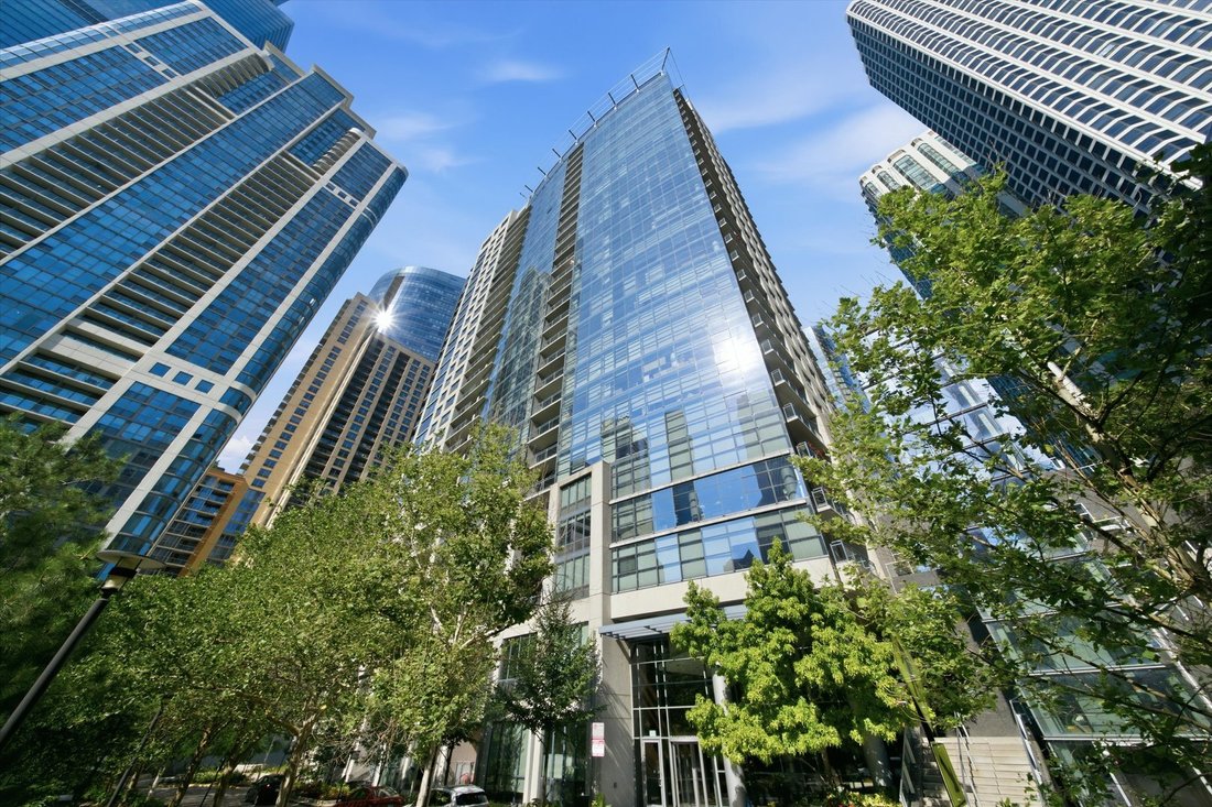Condo in Chicago, Illinois, United States 1 - 18463903
