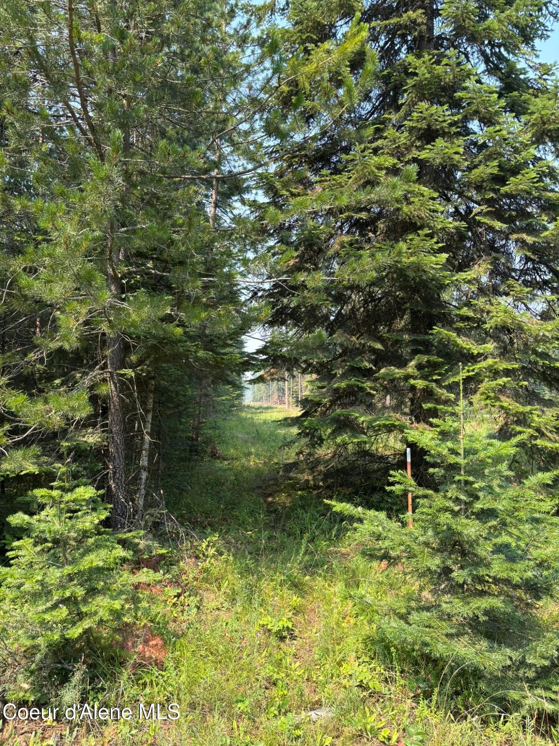 House in Athol, Idaho, United States 3 - 18462503