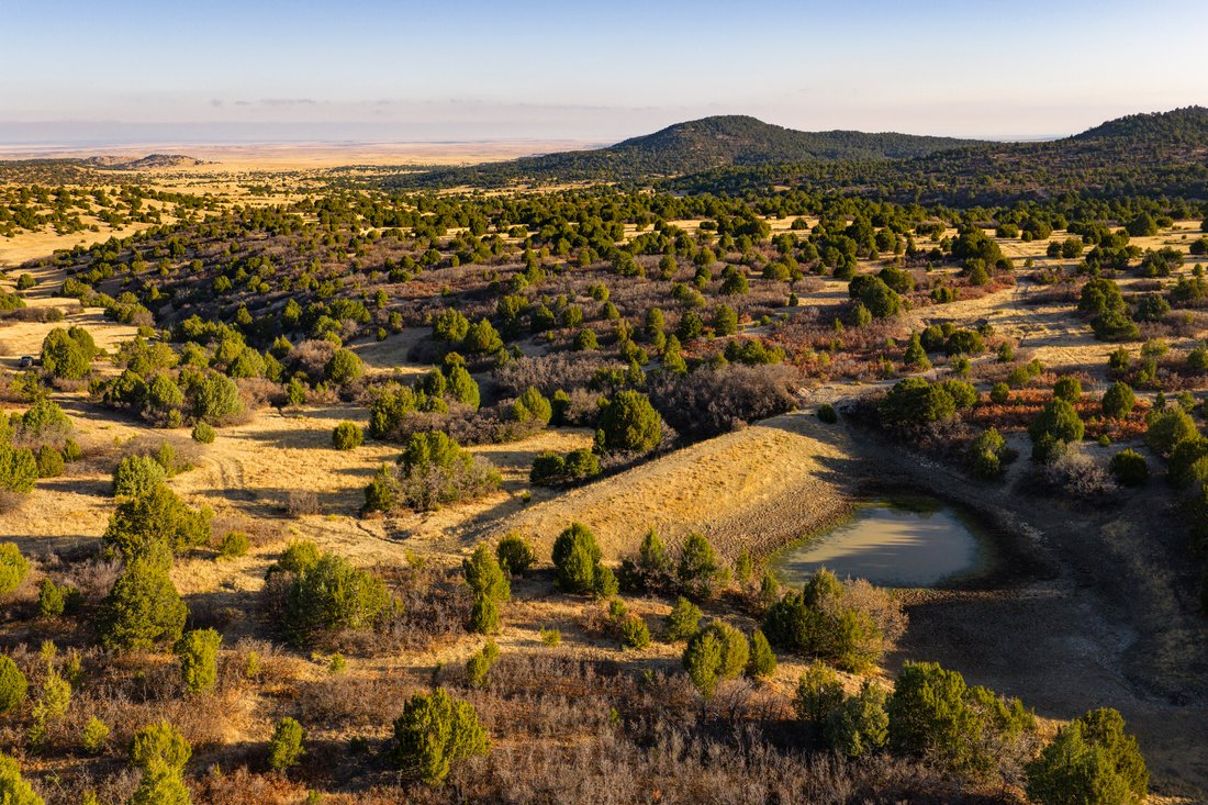 Farm Ranch in Winters, Texas, United States 5 - 18466036