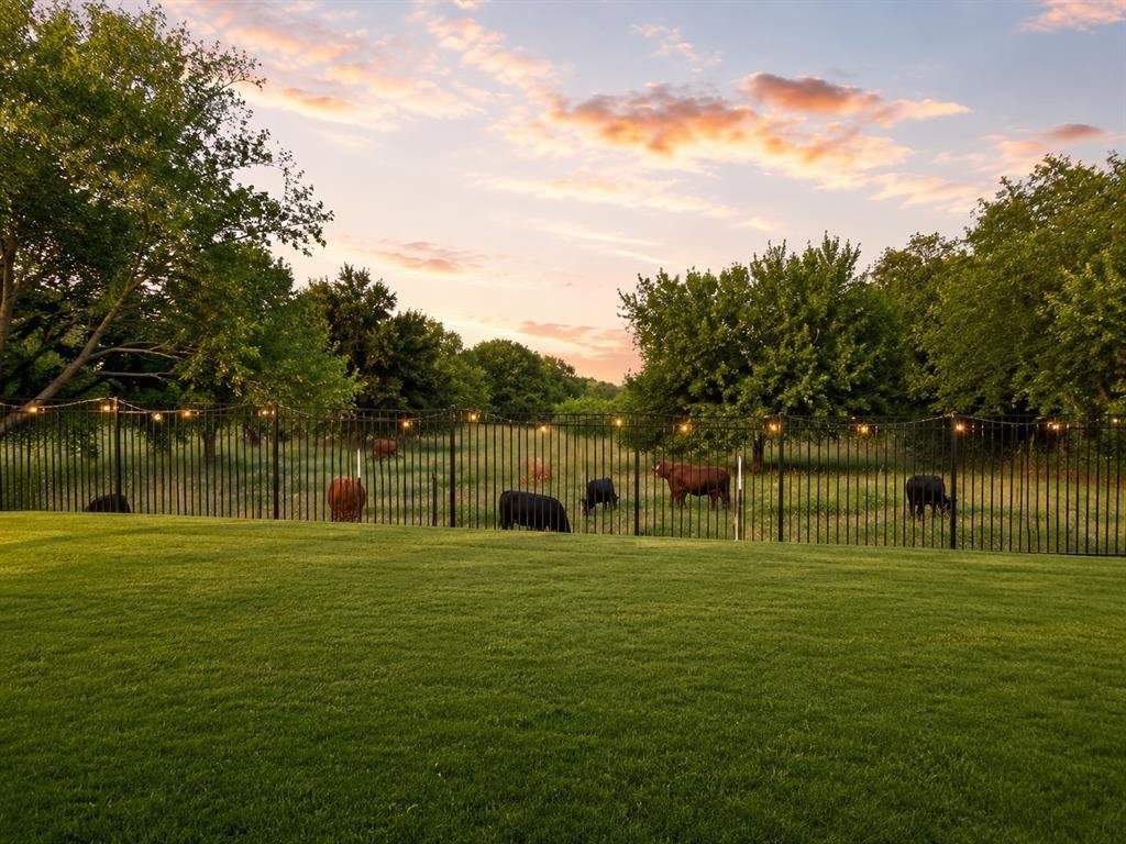 House in Prosper, Texas, United States 3 - 18460346