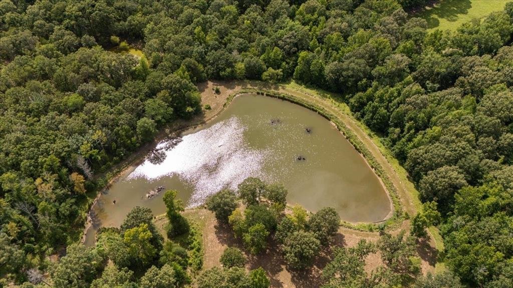 Farm Ranch in Grand Saline, Texas, United States 3 - 18460357