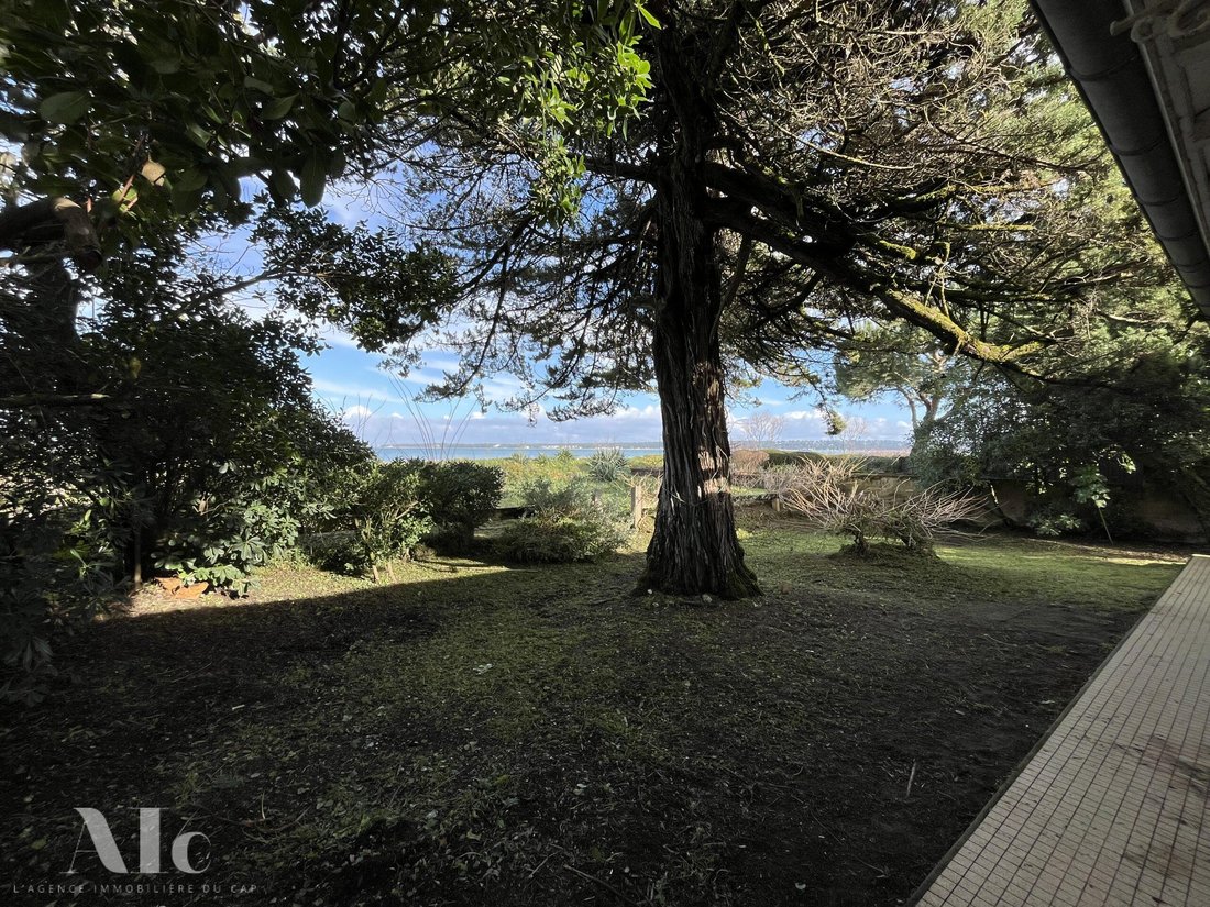 Villa in Centre Cap Ferret, Lège-Cap-Ferret, France 4 - 18466088