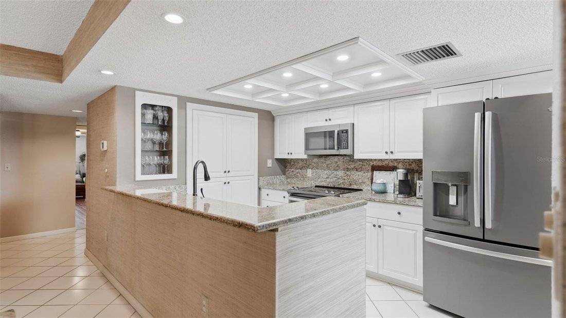 Condo in St. Petersburg, Florida, United States 4 - 18468509