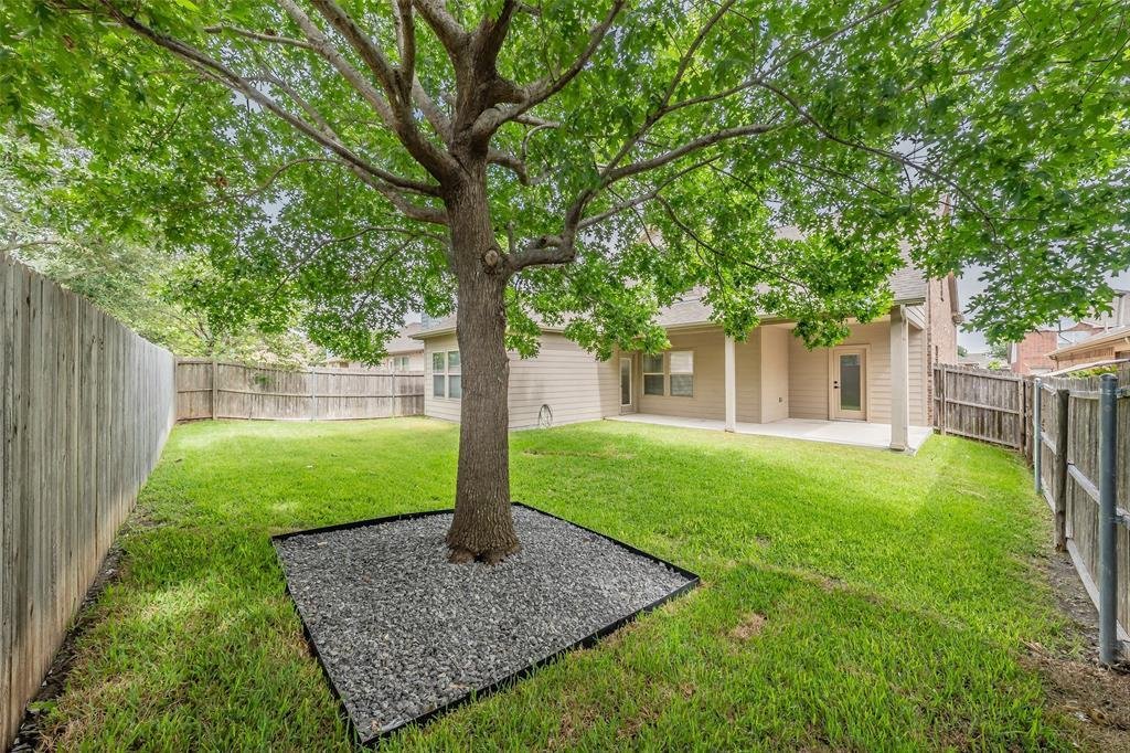 House in McKinney, Texas, United States 5 - 18456442