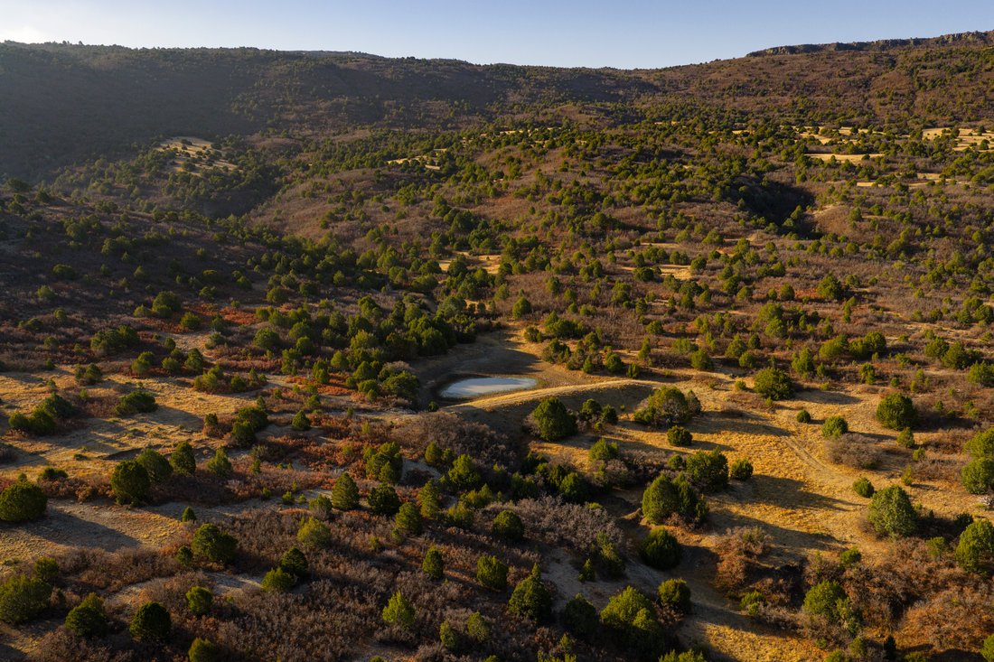 Farm Ranch in Winters, Texas, United States 1 - 18466036
