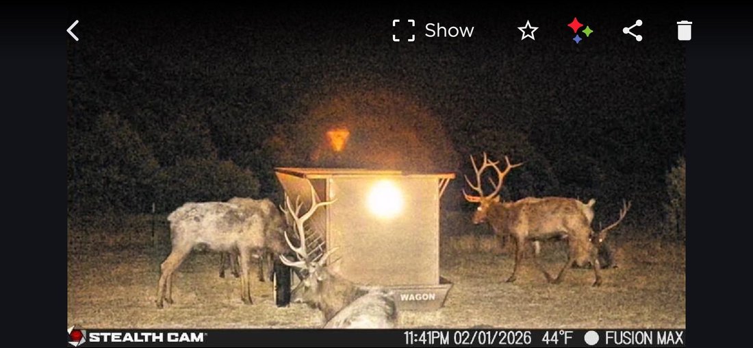 Farm Ranch in Winters, Texas, United States 3 - 18466036
