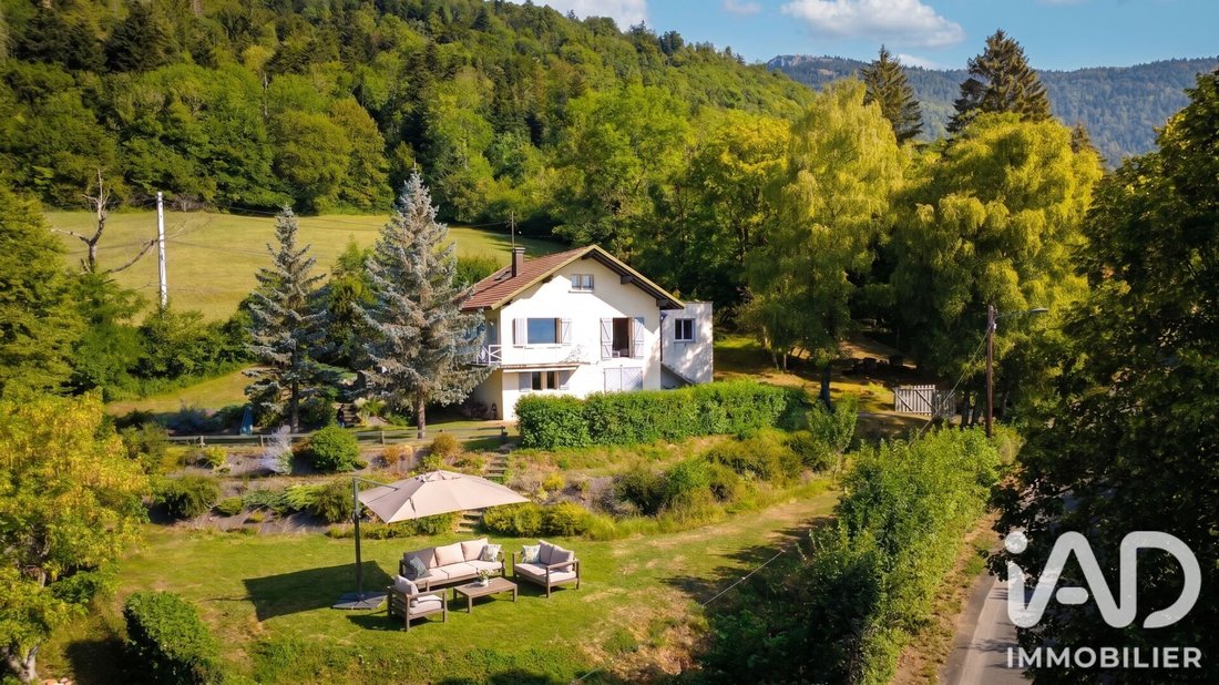 House in Ouest, Gex, France 4 - 18471917