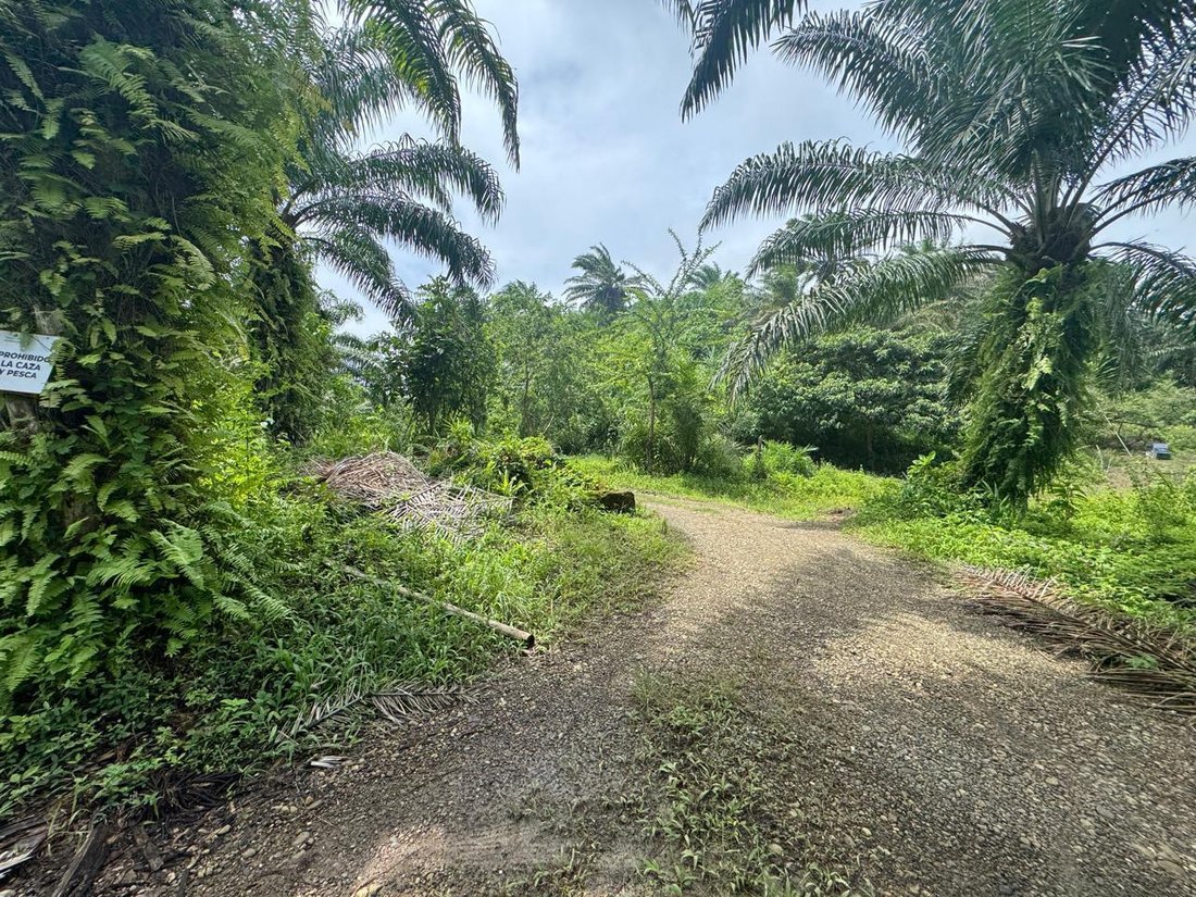 Farm Ranch in Quininde, Esmeraldas, Ecuador 2 - 18457817