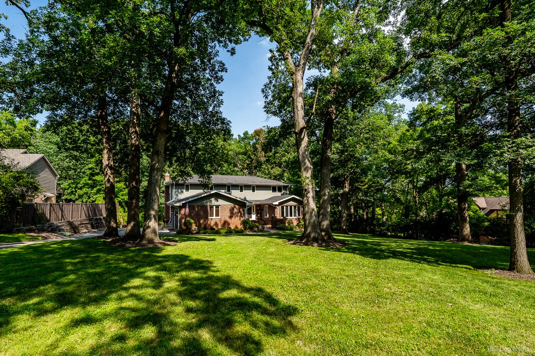 House in Orland Park, Illinois, United States 4 - 18468673