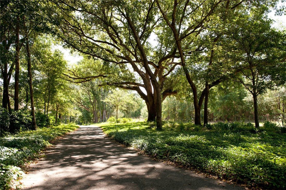 House in Gainesville, Florida, United States 5 - 18458805
