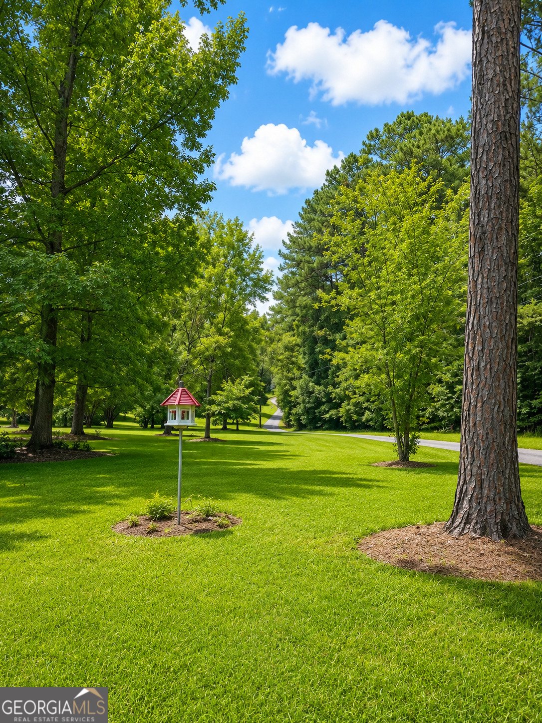 House in Griffin, Georgia, United States 4 - 18440299