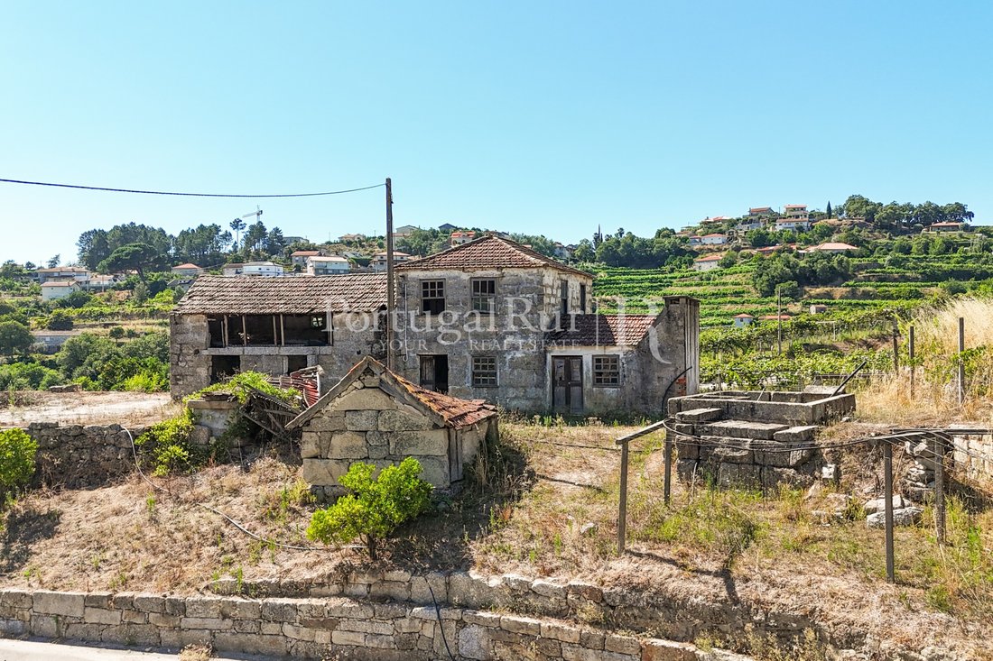 Finca in Tabuado, Porto District, Portugal 5 - 18456821