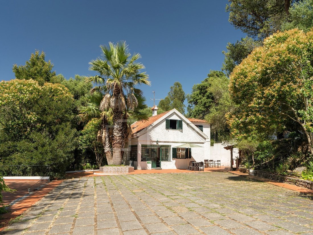 House in Sintra, Lisbon, Portugal 2 - 18456815