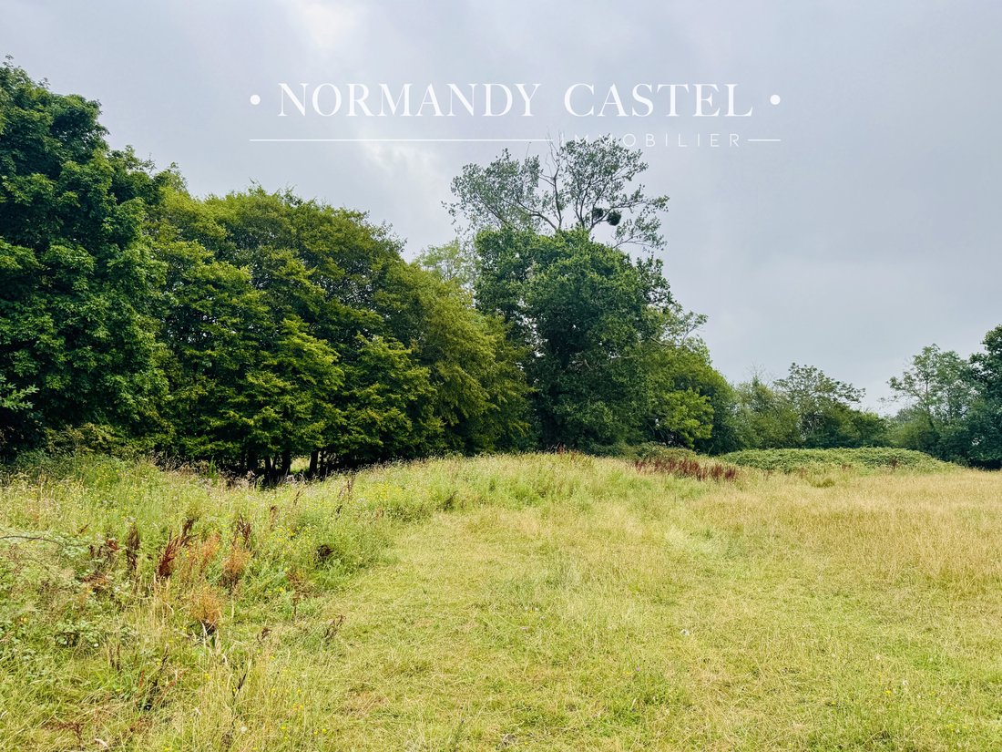 Land in Trouville-sur-Mer, Normandy, France 5 - 18468112