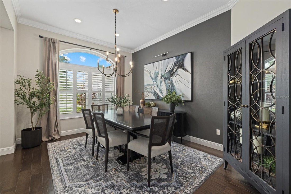 House in Bradenton, Florida, United States 5 - 18455903