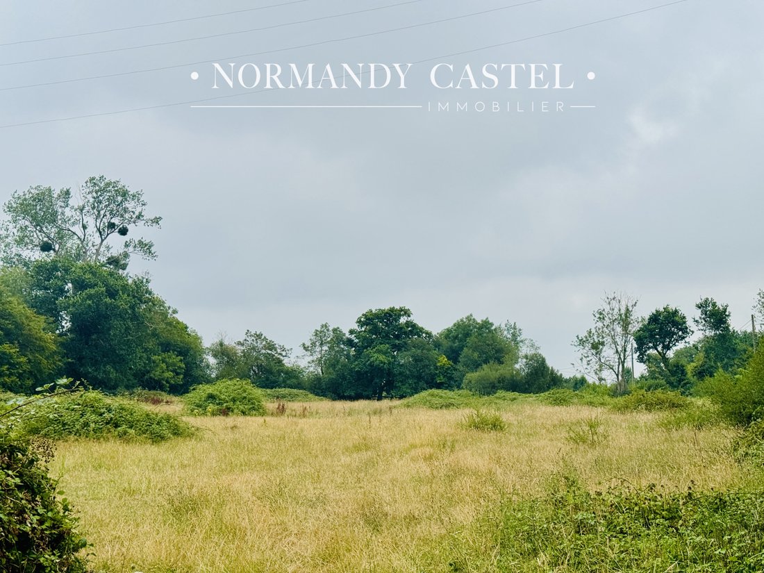 Land in Trouville-sur-Mer, Normandy, France 1 - 18468112