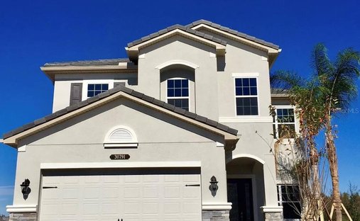 House in Zephyrhills, Florida, United States 1