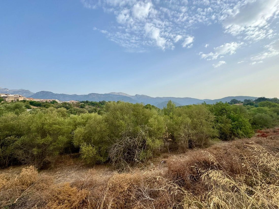 Land in Campanet, Balearic Islands, Spain 2 - 18455700