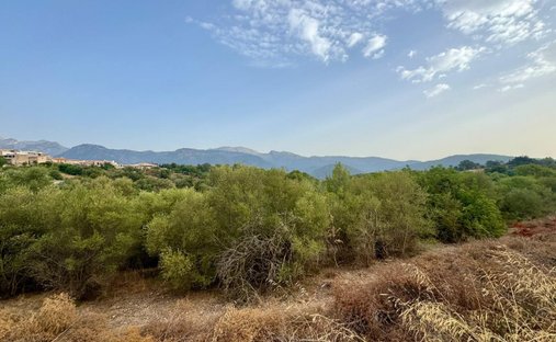 Terrain à Campanet, Îles Baléares, Espagne 1