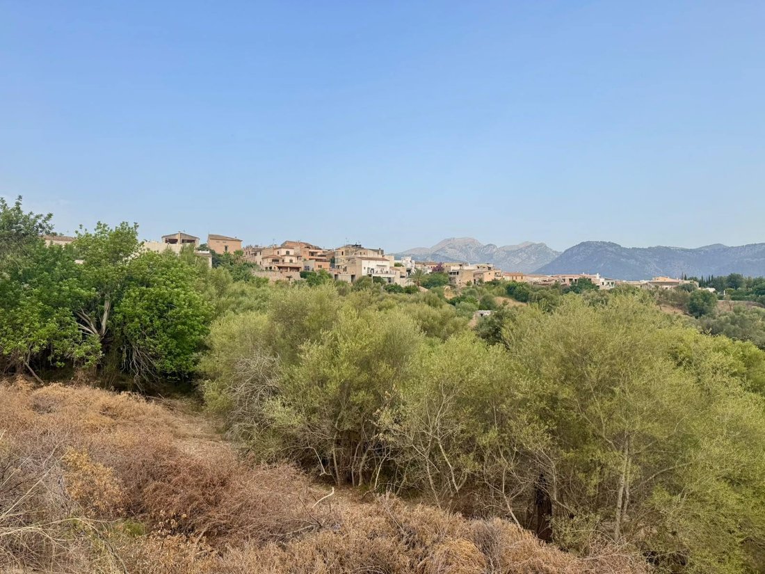 Land in Campanet, Balearic Islands, Spain 4 - 18455700