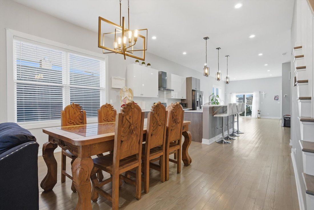 House in Chicago, Illinois, United States 5 - 18465859