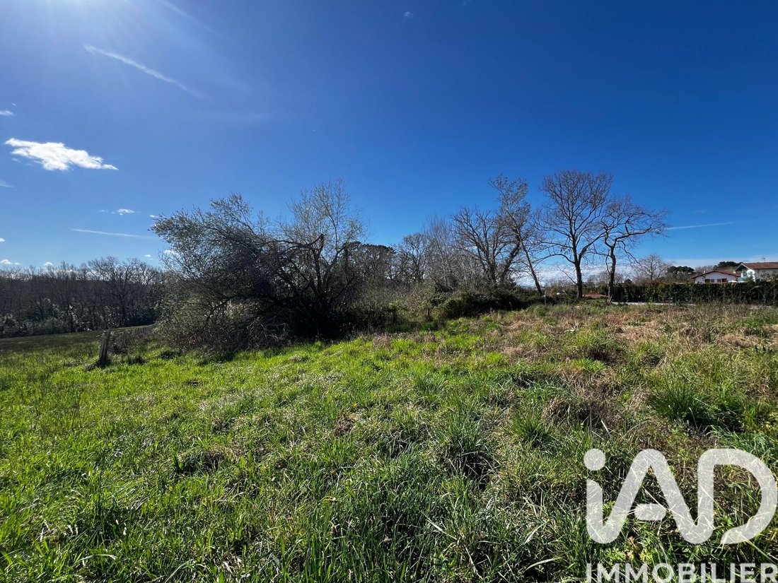 Land in Arcangues, Nouvelle-Aquitaine, France 2 - 17430514