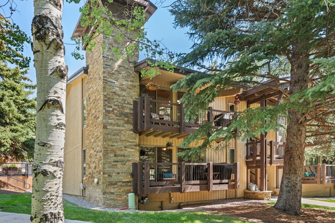 Condo in Snowmass Village, Colorado, United States 3 - 18464232