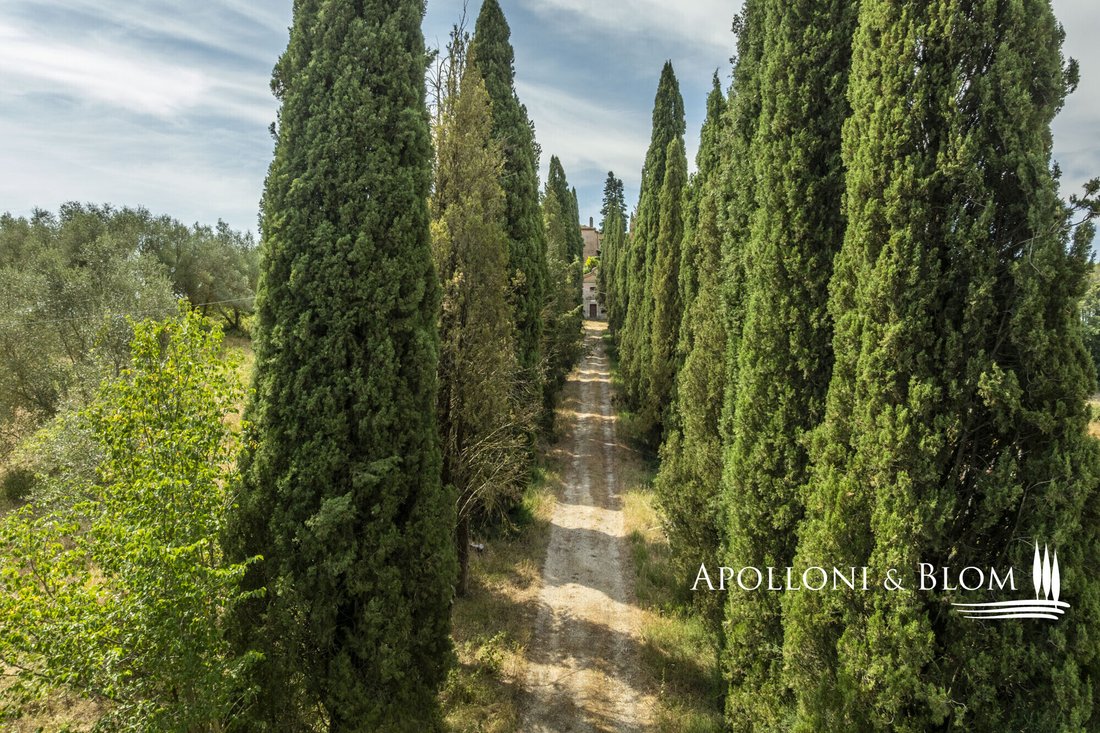 Montalcino, Tuscany, Italy 3 - 18458873