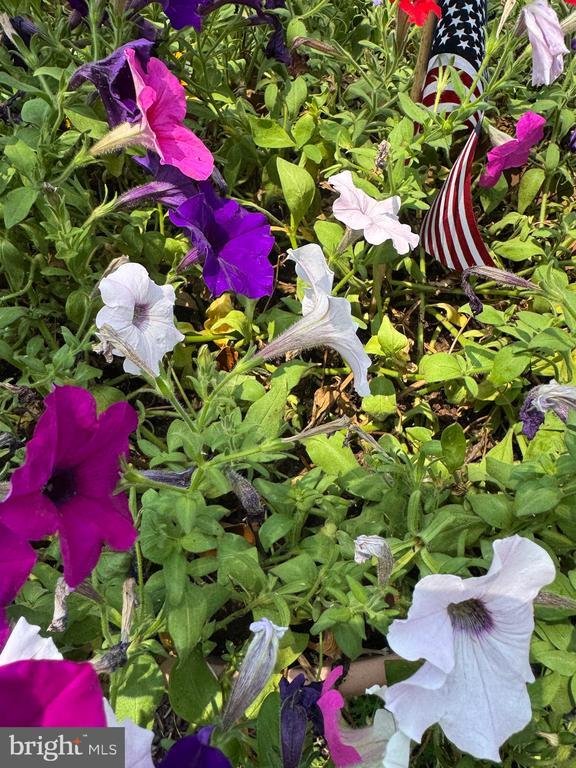 Condo in Selbyville, Delaware, United States 5 - 18468028