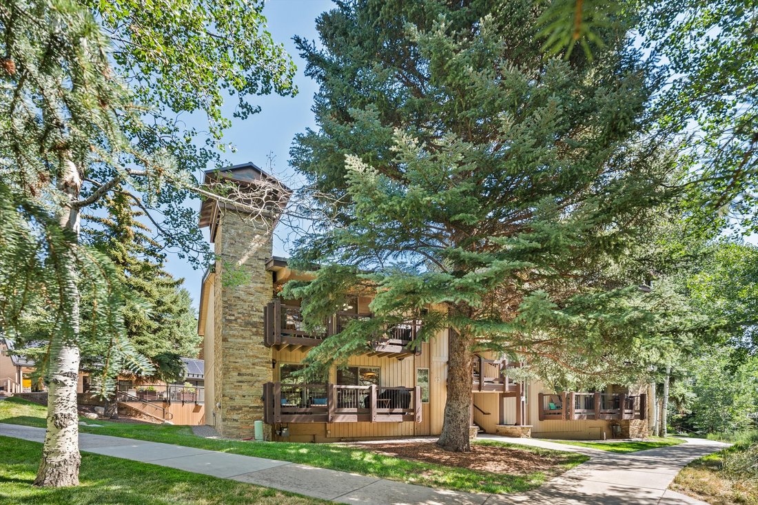 Condo in Snowmass Village, Colorado, United States 2 - 18464232