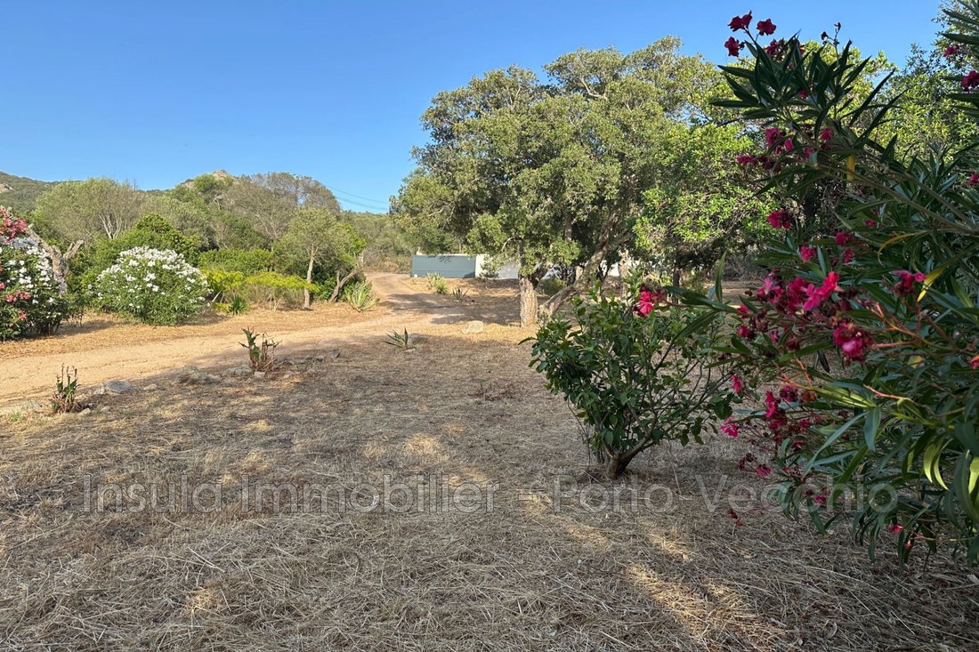 Villa in Figari, Corsica, France 1 - 18093237