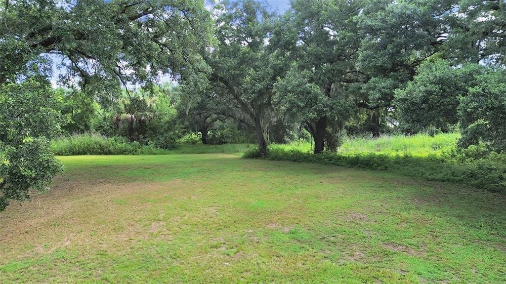 House in Brandon, Florida, United States 3 - 18457387