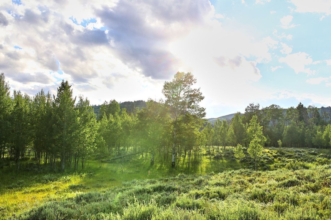 Land in Jackson, Wyoming, United States 5 - 18458172