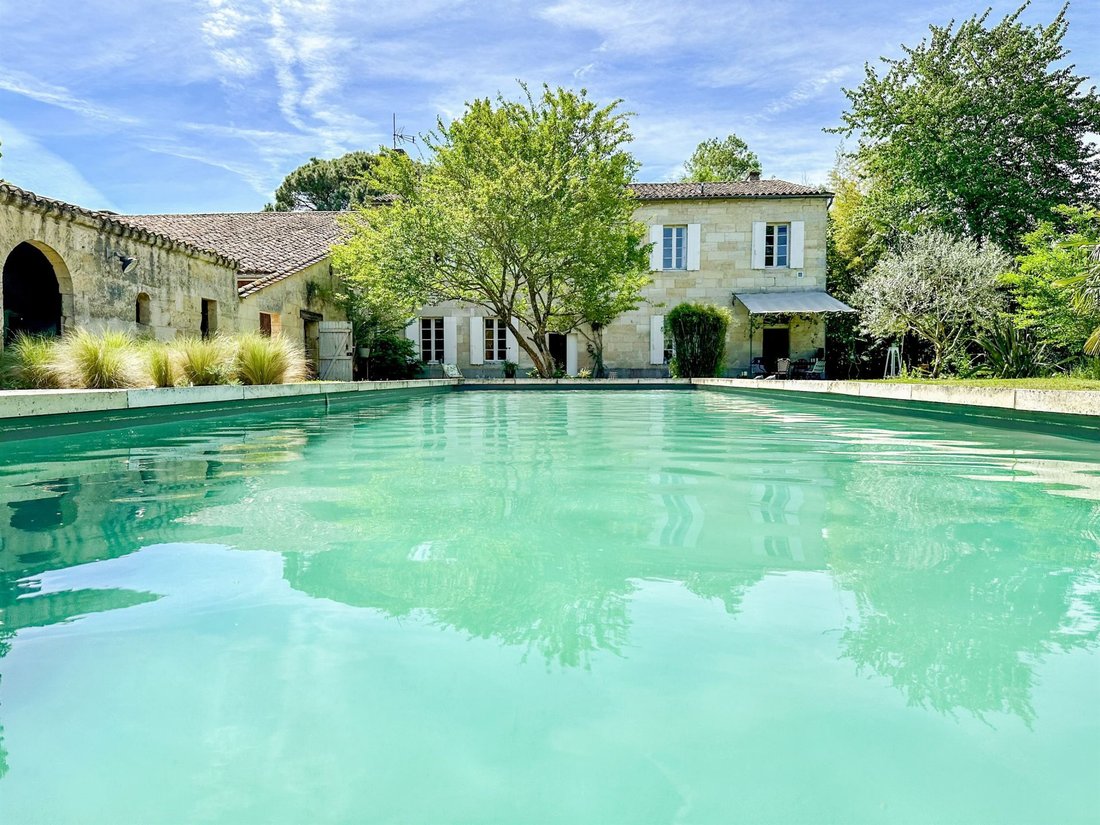 House in Les Artigues-de-Lussac, Nouvelle-Aquitaine, France 1 - 18456866