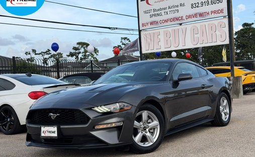 2019 Ford Mustang EcoBoost Coupe 2D in Spring, TX, United States 1