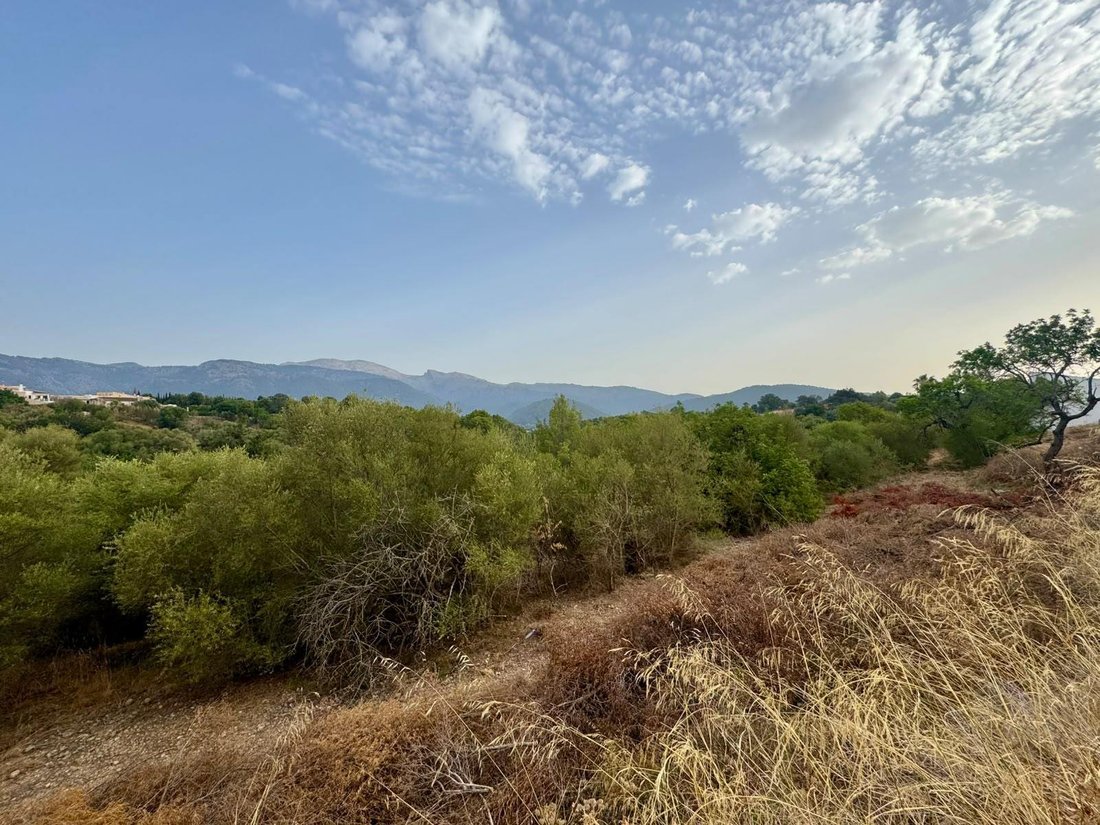Land in Campanet, Balearic Islands, Spain 1 - 18455700