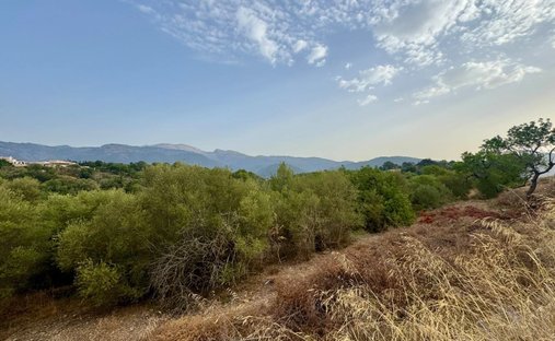 Land in Campanet, Balearic Islands, Spain 1