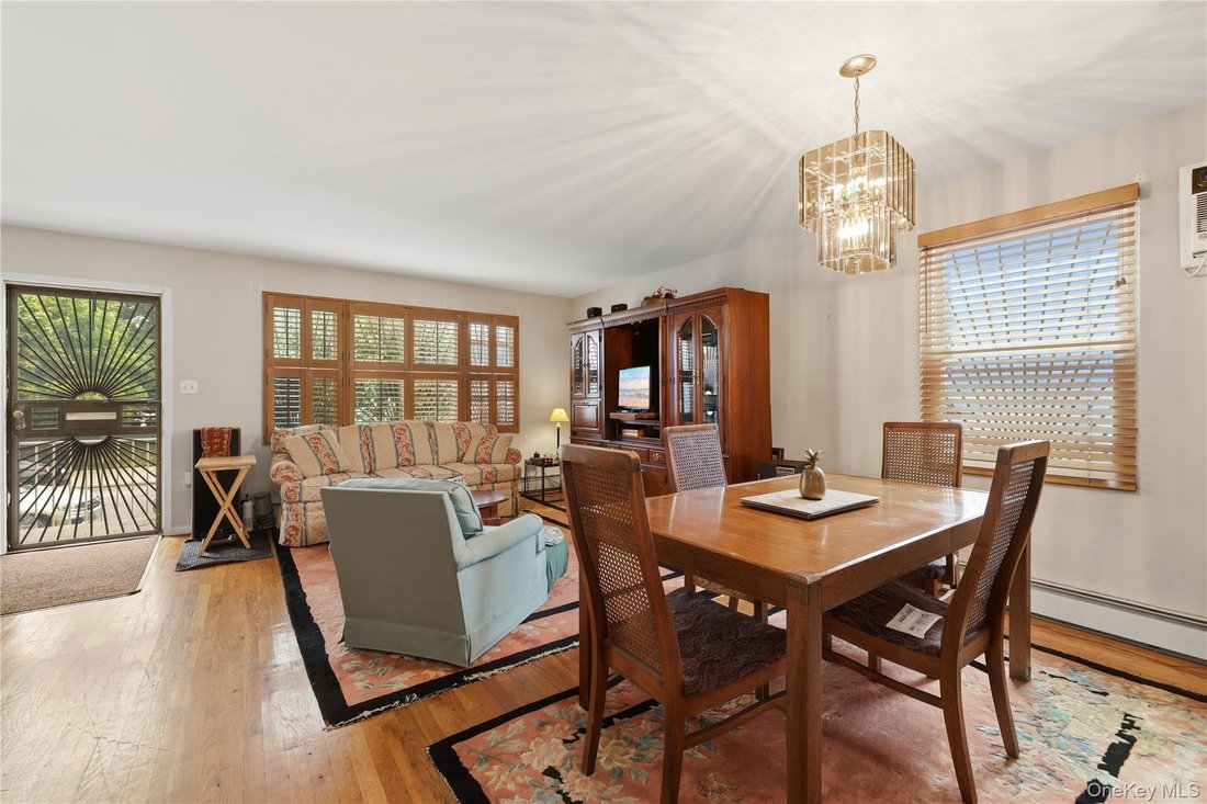 House in New York, New York, United States 4 - 18458676