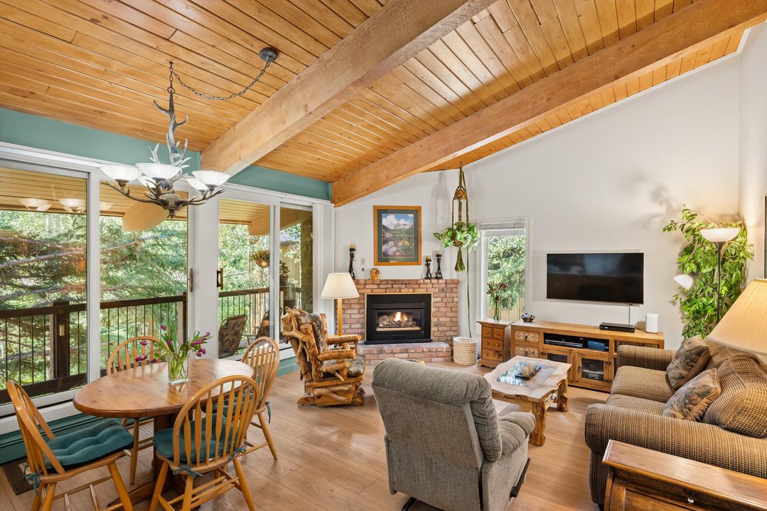 Condo in Snowmass Village, Colorado, United States 4 - 18464232